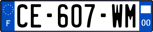 CE-607-WM