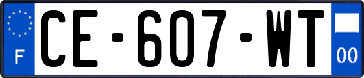 CE-607-WT