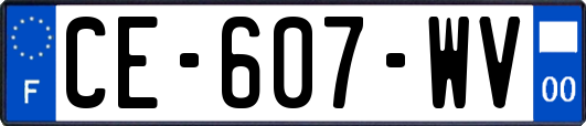 CE-607-WV