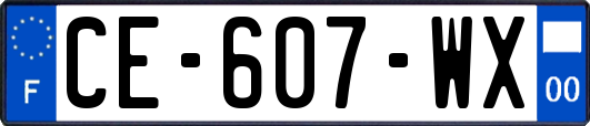 CE-607-WX