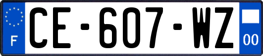 CE-607-WZ