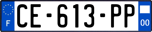 CE-613-PP