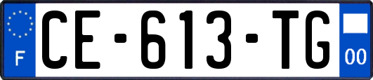 CE-613-TG