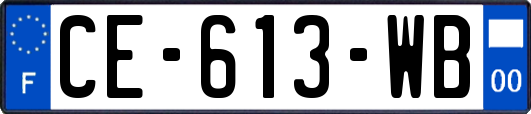 CE-613-WB