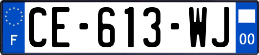 CE-613-WJ