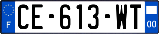 CE-613-WT