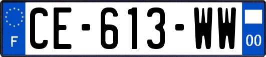 CE-613-WW