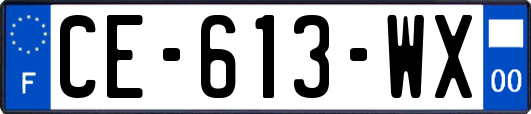 CE-613-WX