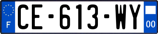 CE-613-WY