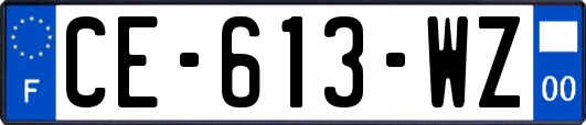 CE-613-WZ