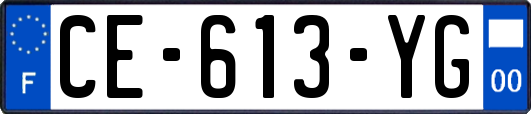 CE-613-YG