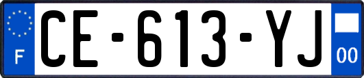 CE-613-YJ