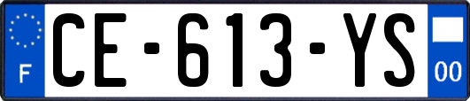 CE-613-YS