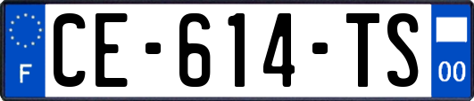 CE-614-TS