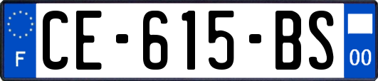 CE-615-BS