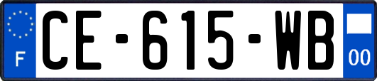 CE-615-WB