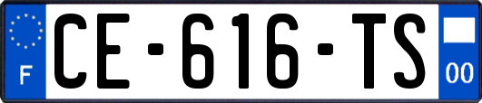 CE-616-TS