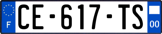 CE-617-TS