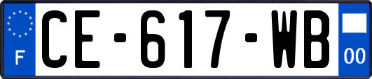 CE-617-WB