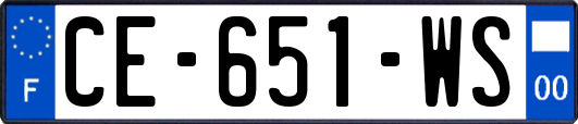 CE-651-WS