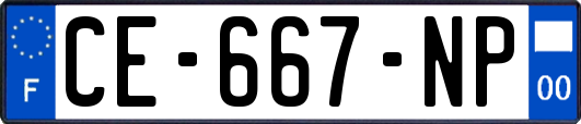 CE-667-NP