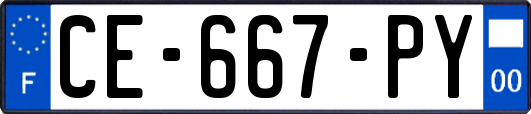 CE-667-PY