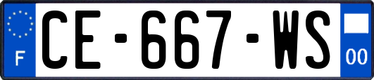 CE-667-WS