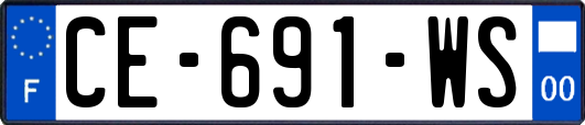 CE-691-WS