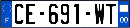 CE-691-WT