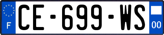 CE-699-WS