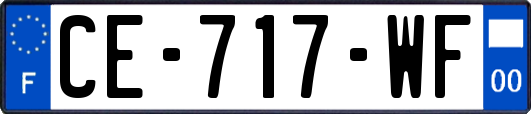 CE-717-WF