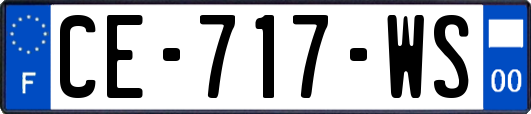 CE-717-WS