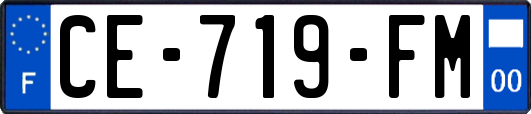 CE-719-FM