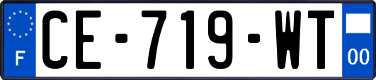 CE-719-WT