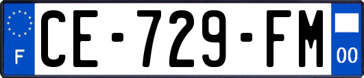 CE-729-FM