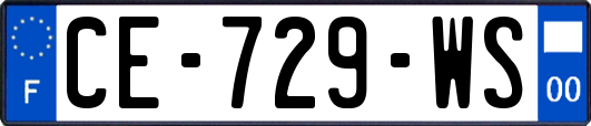CE-729-WS
