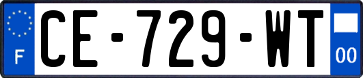 CE-729-WT