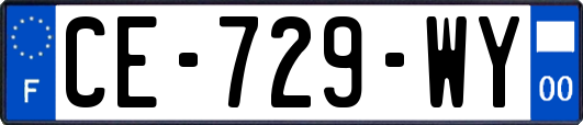 CE-729-WY