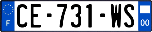 CE-731-WS