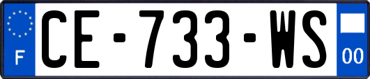 CE-733-WS