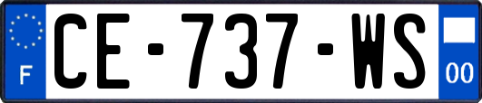 CE-737-WS