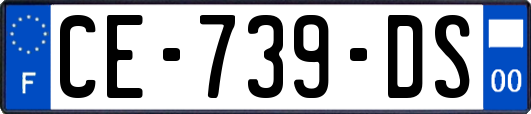 CE-739-DS