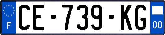 CE-739-KG