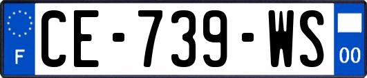 CE-739-WS