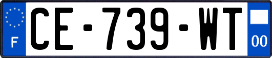 CE-739-WT