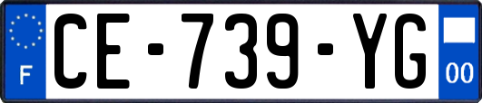 CE-739-YG