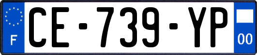 CE-739-YP