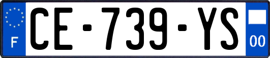 CE-739-YS