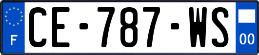CE-787-WS
