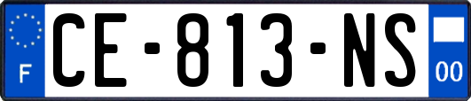 CE-813-NS